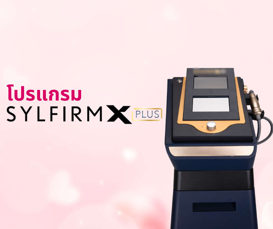 โปรแกรม Sylfirm X Plus