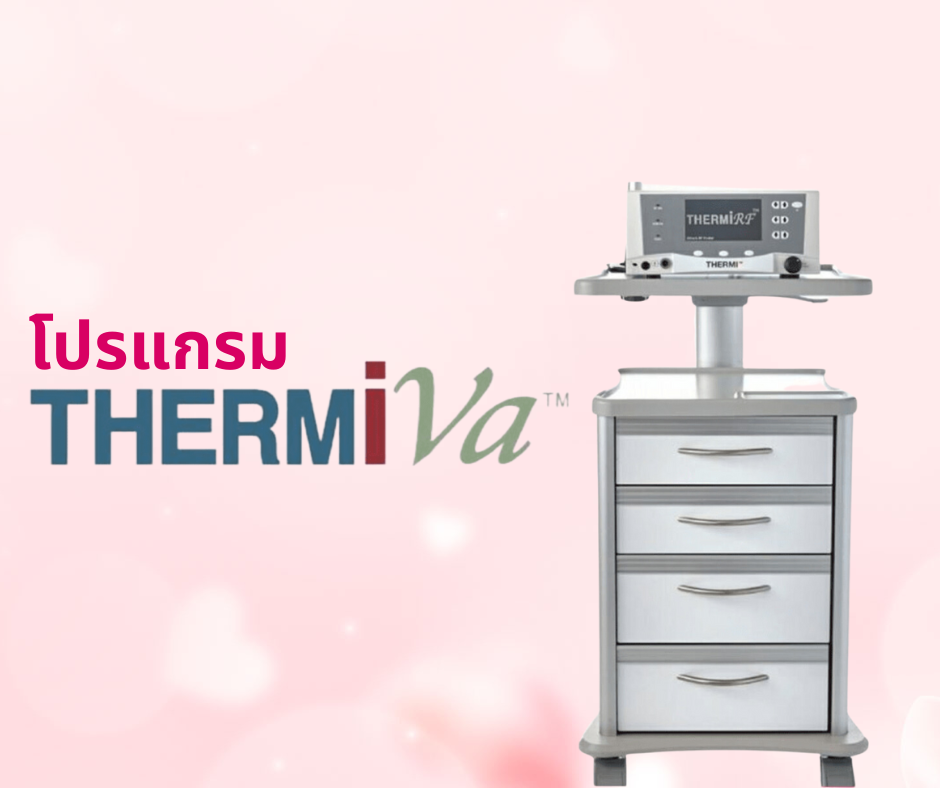 โปรแกรม ThermiVa