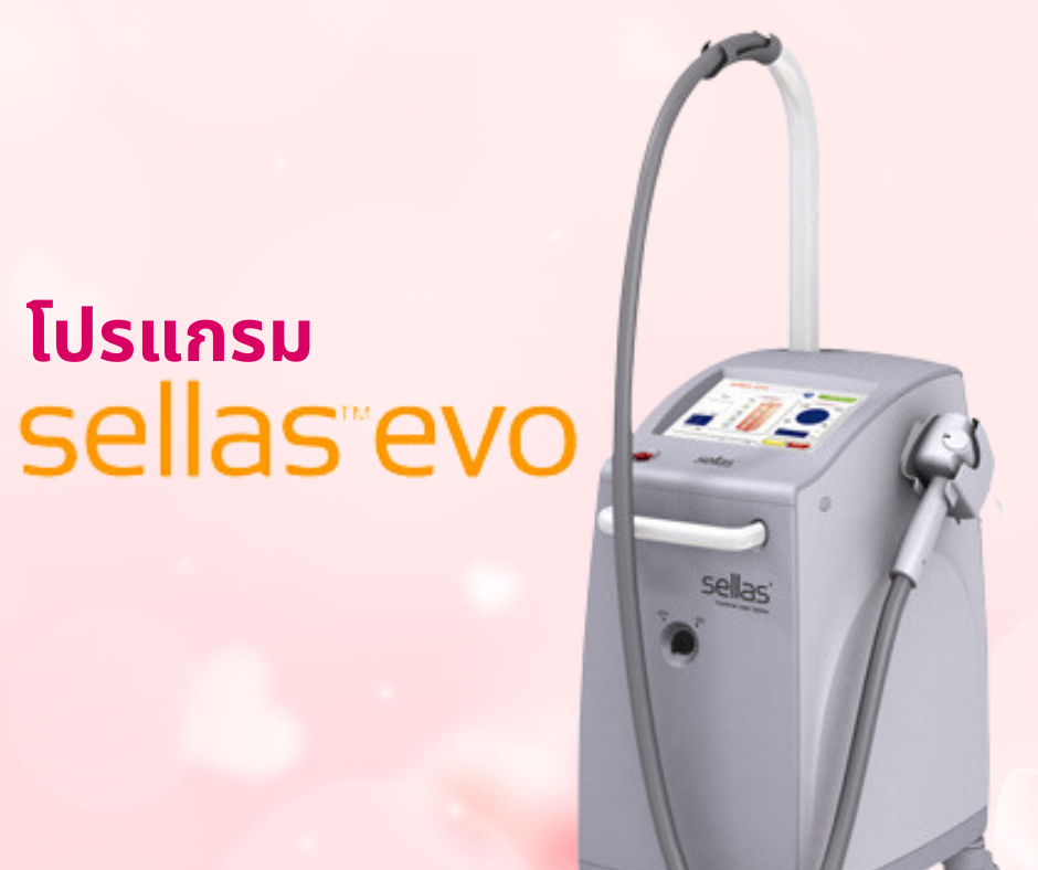 โปรแกรม Sellas-EVO Laser