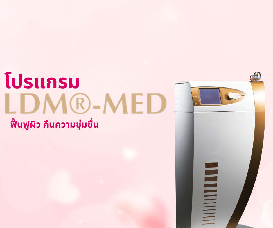 โปรแกรม LDM-MED