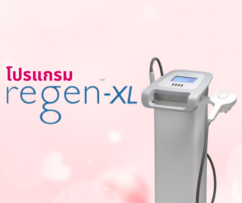 โปรแกรม Regen-XL